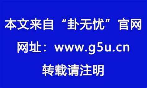 2024属猪|属猪2024年运势及运程详解 2024年属猪人的全年每月运势